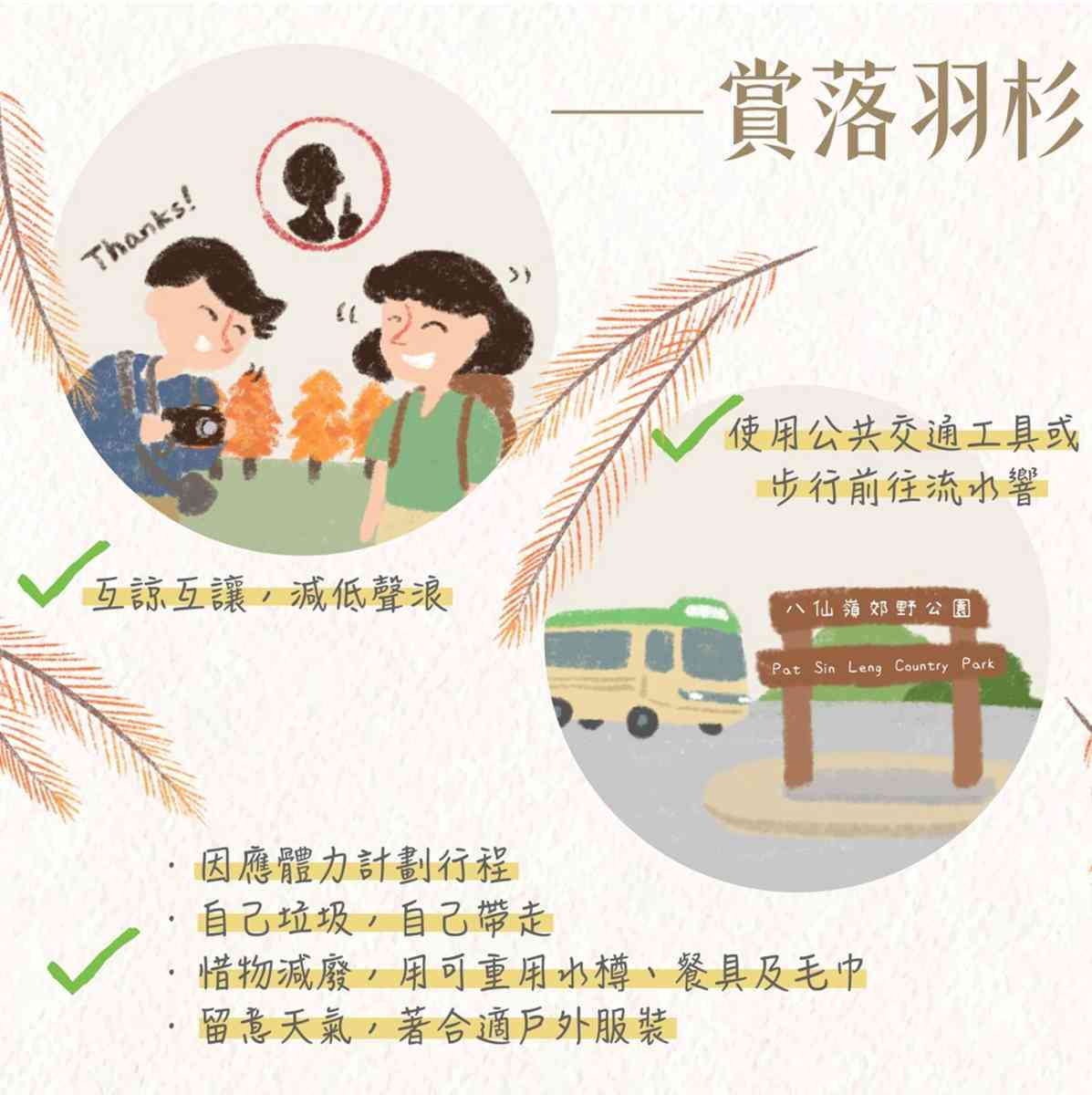 落羽杉季節來了！流水響免費郊野導賞＋交通路線，青衣公園八成轉紅＋北區公園