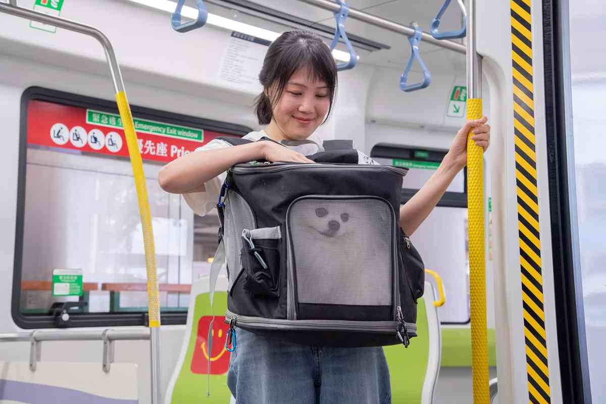 愛協「全城狗狗行善日2026」:寵物狗可首度踏上港鐵+香港迪士尼慈善步行活動+寵物嘉年華 愛協「全城狗狗行善日2026」:寵物狗可首度踏上港鐵+香港迪士尼慈善步行活動+寵物嘉年華