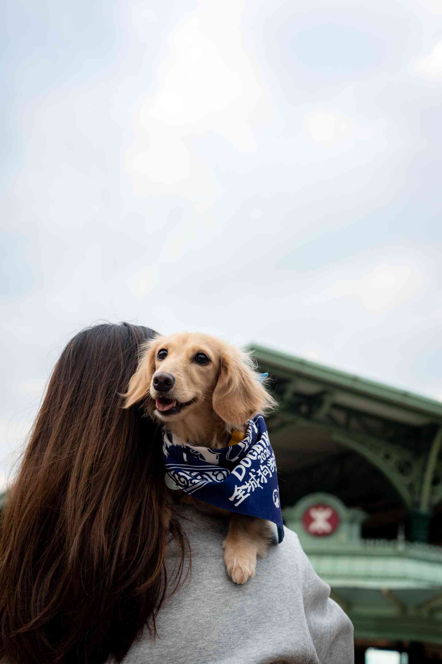 愛協「全城狗狗行善日2026」:寵物狗可首度踏上港鐵+香港迪士尼慈善步行活動+寵物嘉年華 愛協「全城狗狗行善日2026」:寵物狗可首度踏上港鐵+香港迪士尼慈善步行活動+寵物嘉年華