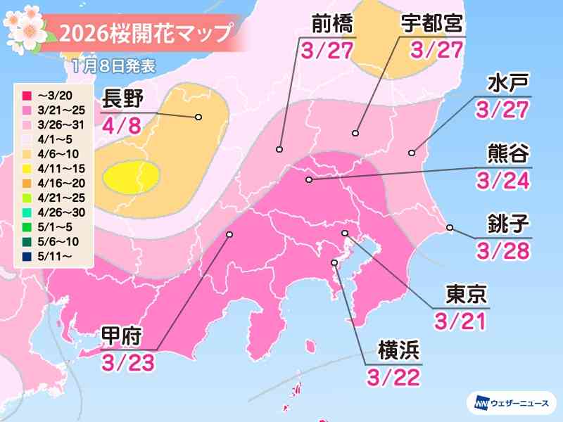 日本櫻花預測2026｜東京3.21開花、3.27滿開！福岡3.23、大阪3.26開花