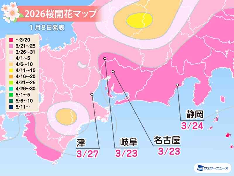 日本櫻花預測2026｜東京3.21開花、3.27滿開！福岡3.23、大阪3.26開花