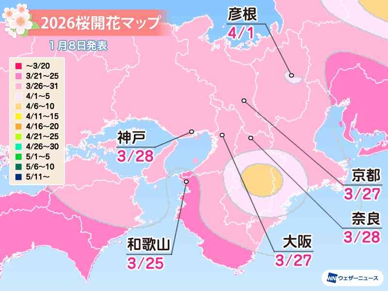 日本櫻花預測2026｜東京3.21開花、3.27滿開！福岡3.23、大阪3.26開花