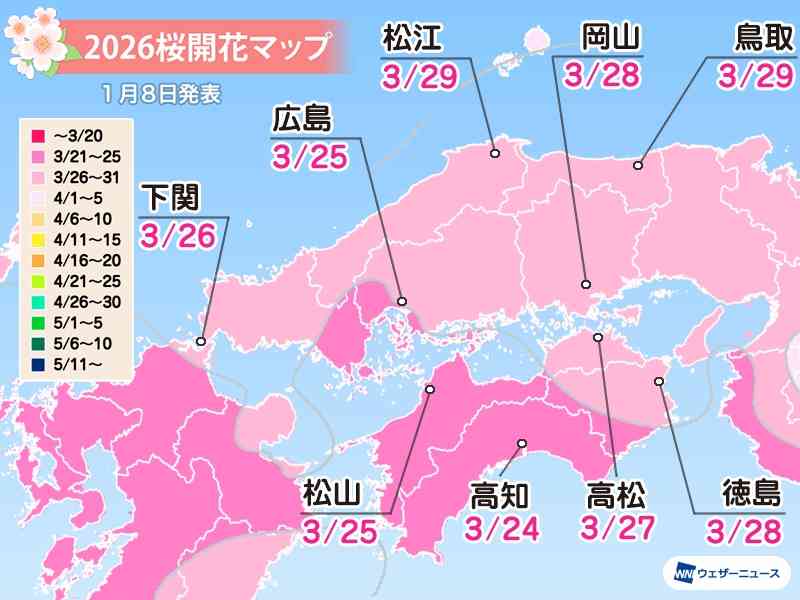 日本櫻花預測2026｜東京3.21開花、3.27滿開！福岡3.23、大阪3.26開花