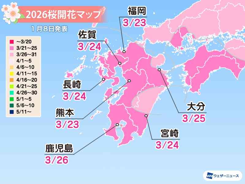 日本櫻花預測2026｜東京3.21開花、3.27滿開！福岡3.23、大阪3.26開花