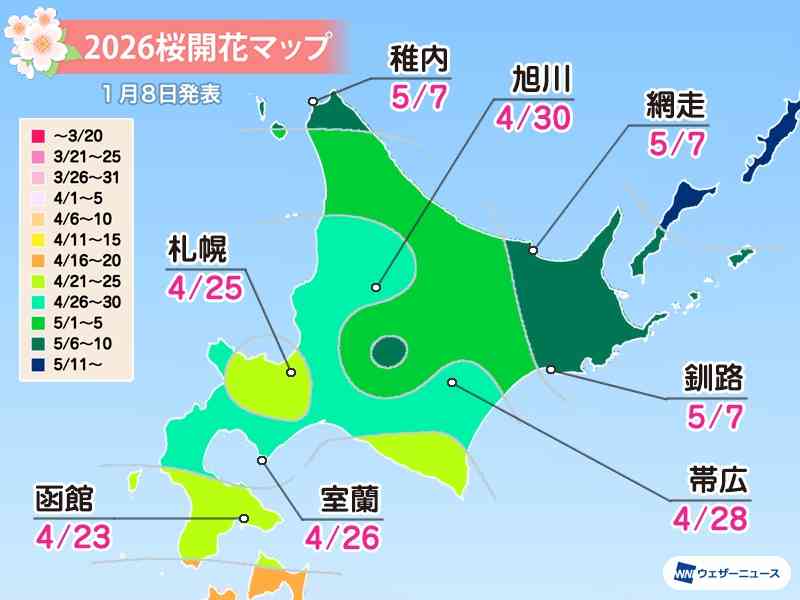 日本櫻花預測2026｜東京3.21開花、3.27滿開！福岡3.23、大阪3.26開花
