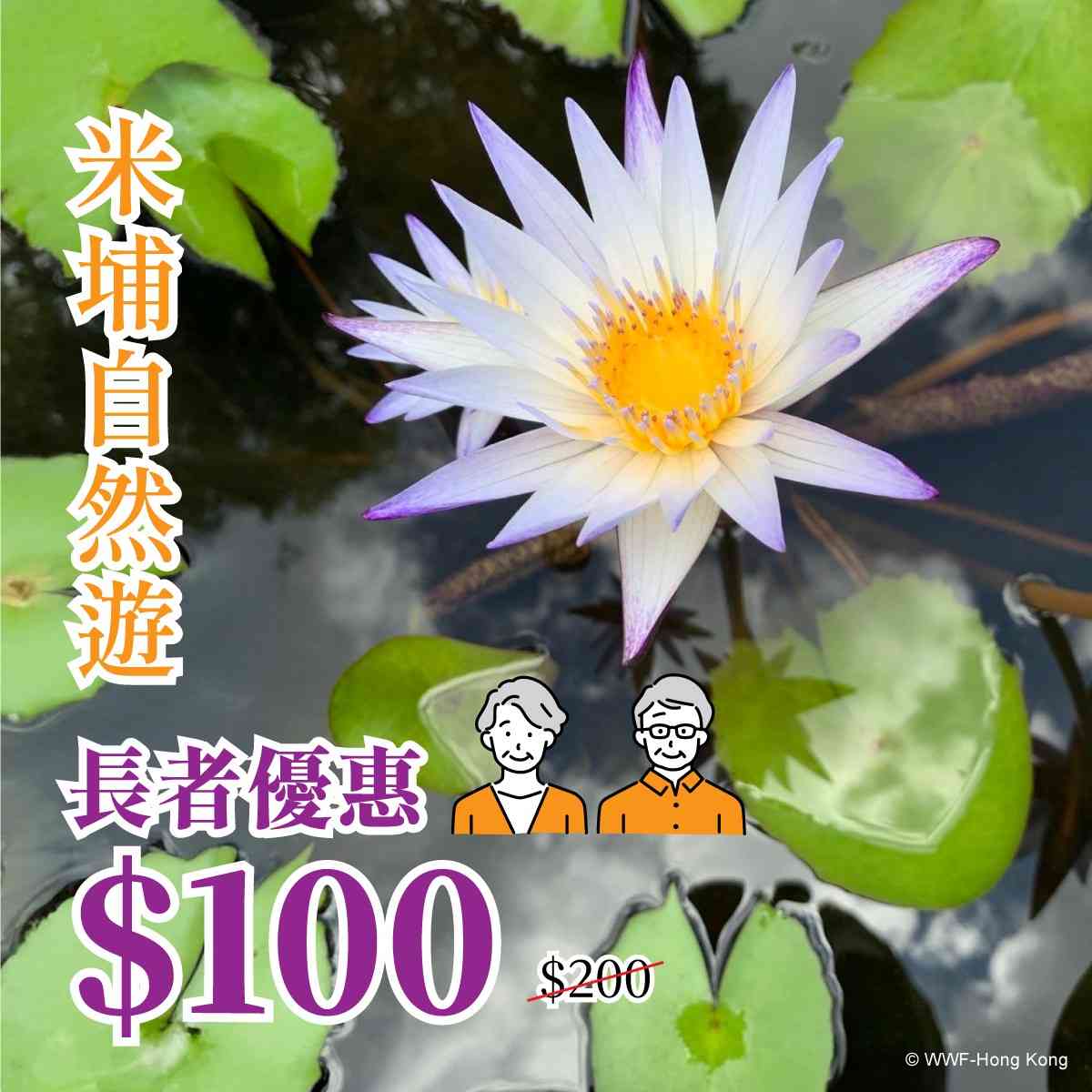 米埔自然遊︱長者優惠$100暢玩3小時濕地＋木橋漫步＋觀鳥屋，新春限定7折$140