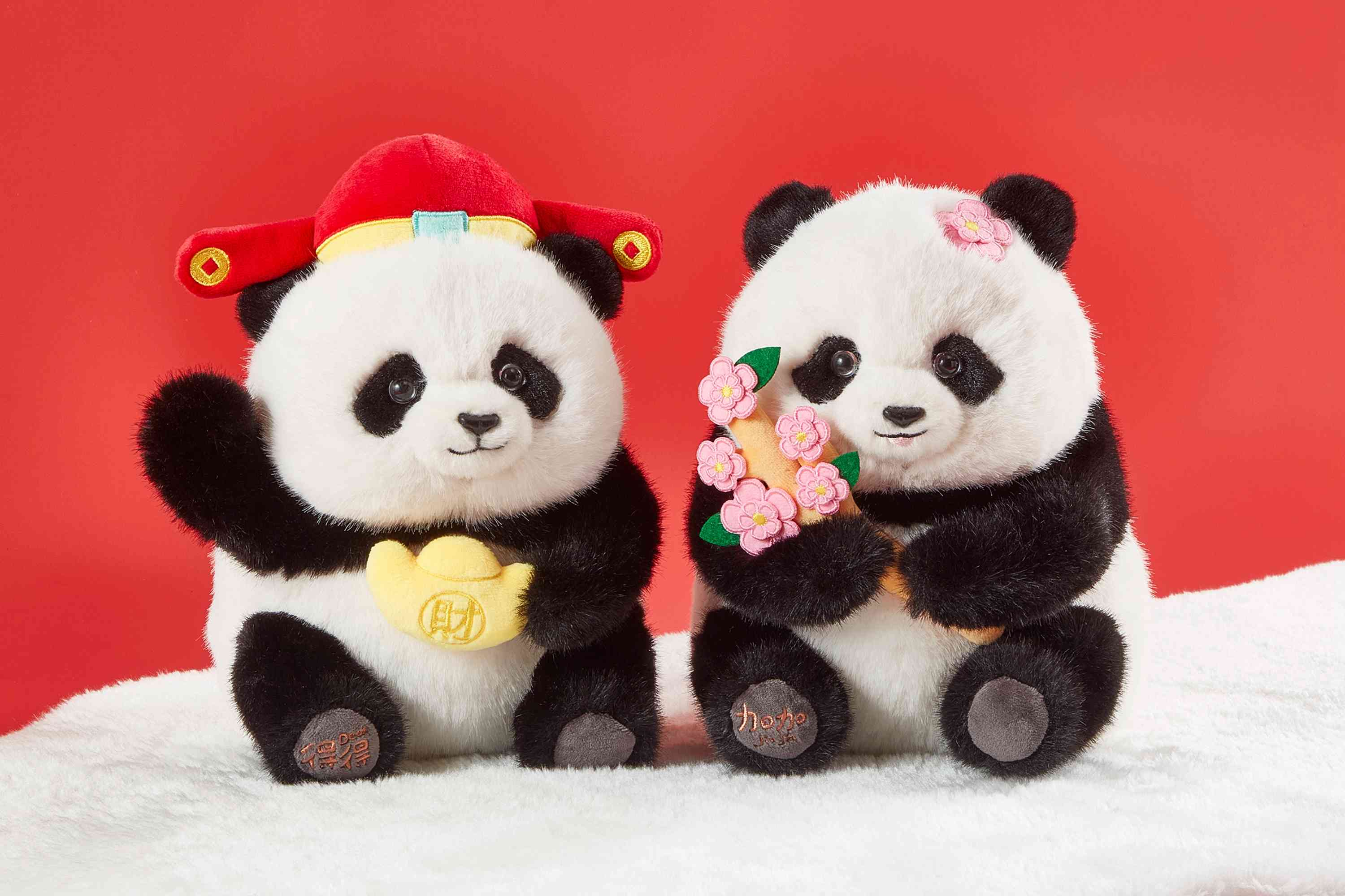 農曆新年好去處2026︱海洋公園大熊貓龍新春打卡位＋精品美食＋初一龍獅表演