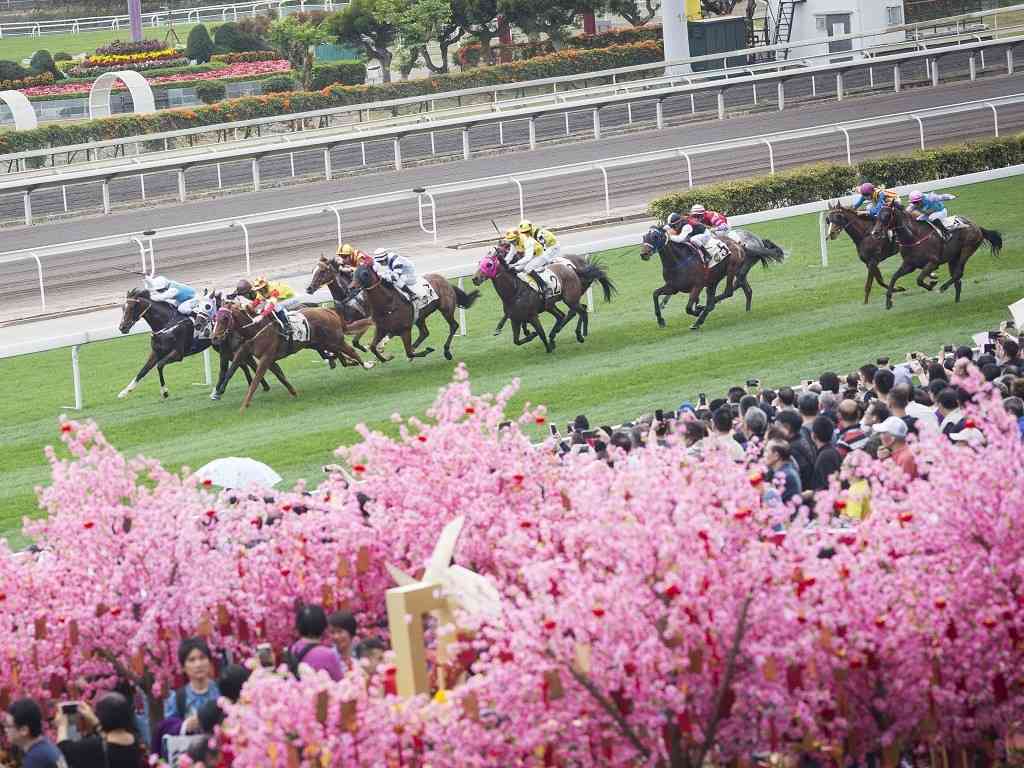 農曆新年好去處2026｜初一「花車巡遊」、初二「煙花匯演」、初三「馬年賽馬日」、初五「賀歲盃」