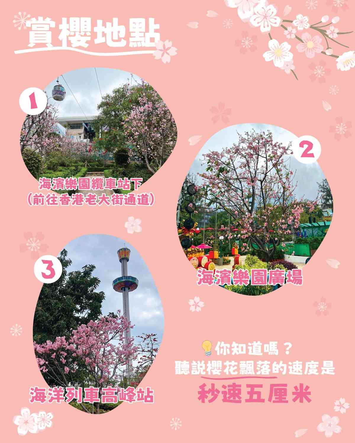 海洋公園周年優惠︱身份證含4、9號碼門票51折最平$137＋樂園櫻花熱點指南