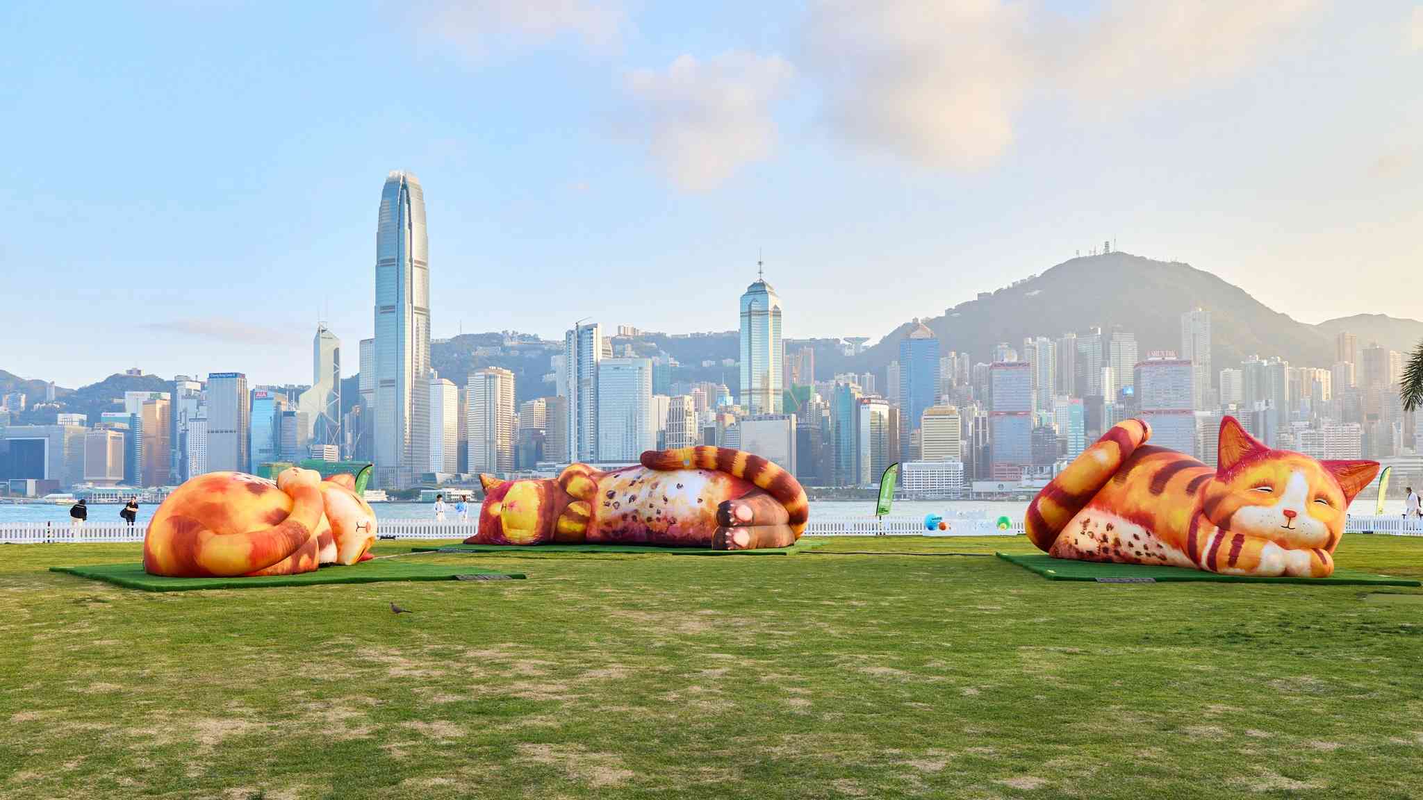 西九家FUN藝術節2026︱巨型貓咪打卡超可愛！互動擺尾呼嚕美食市集＋貓主題商品攻略