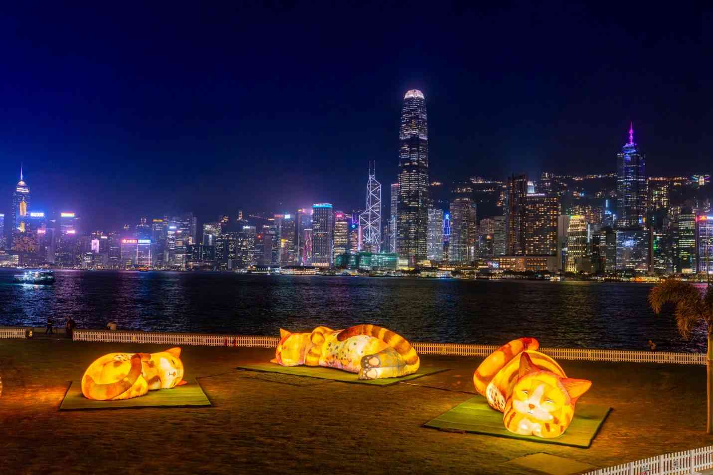 西九家FUN藝術節2026︱巨型貓咪打卡超可愛！互動擺尾呼嚕美食市集＋貓主題商品攻略