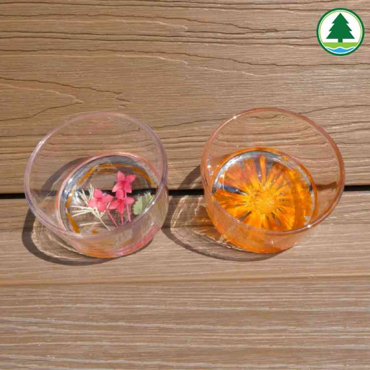 6大賞花熱點2026︱維園花展＋上水塱原波斯菊花海＋機場杜鵑小徑＋宮粉羊蹄甲＋櫻花＋黃花風鈴木攻略