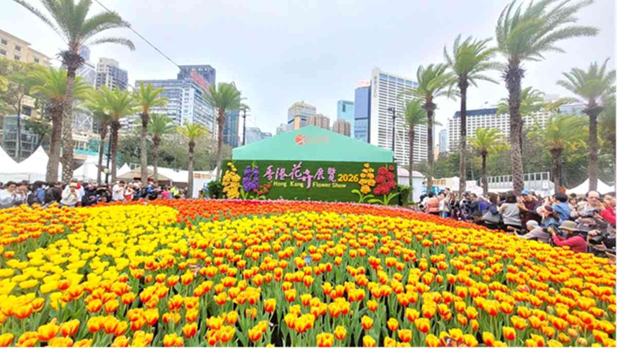 香港花展2026|維園巨型紫羅蘭打卡牆+鬱金香花海+點心/蛋撻主題園圃+微型藝術展+美食推介 香港花展2026|維園巨型紫羅蘭打卡牆+鬱金香花海+點心/蛋撻主題園圃+微型藝術展+美食推介