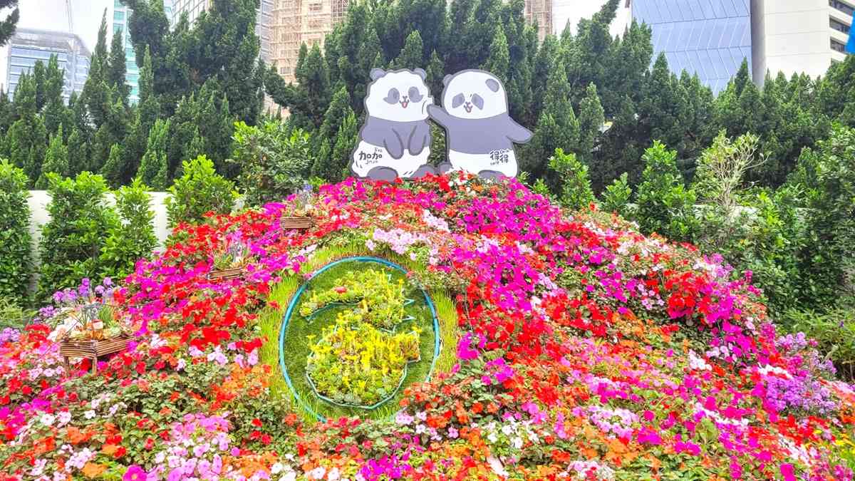 香港花展2026|維園巨型紫羅蘭打卡牆+鬱金香花海+點心/蛋撻主題園圃+微型藝術展+美食推介 香港花展2026|維園巨型紫羅蘭打卡牆+鬱金香花海+點心/蛋撻主題園圃+微型藝術展+美食推介