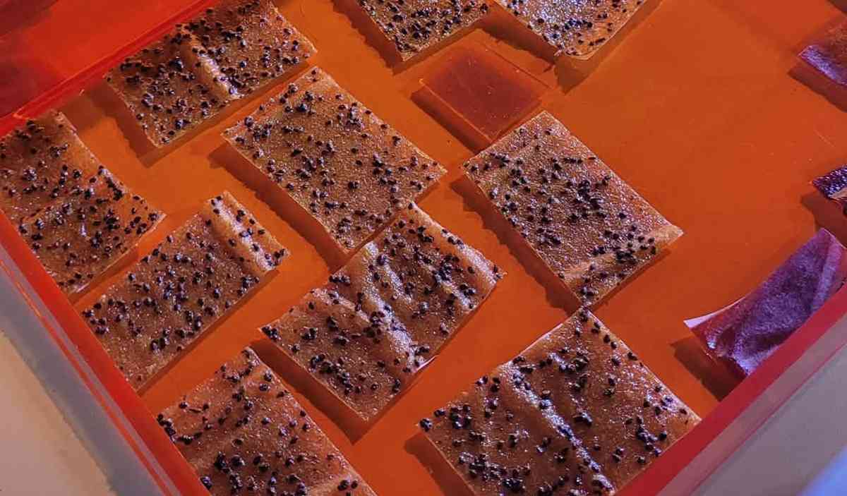 Central Yards 中環藝嚐展︱十大浸沉式體驗展區+脆皮香蕉+普普氣球狗啫喱+向日葵打卡位 Central Yards 中環藝嚐展︱十大浸沉式體驗展區+脆皮香蕉+普普氣球狗啫喱+向日葵打卡位