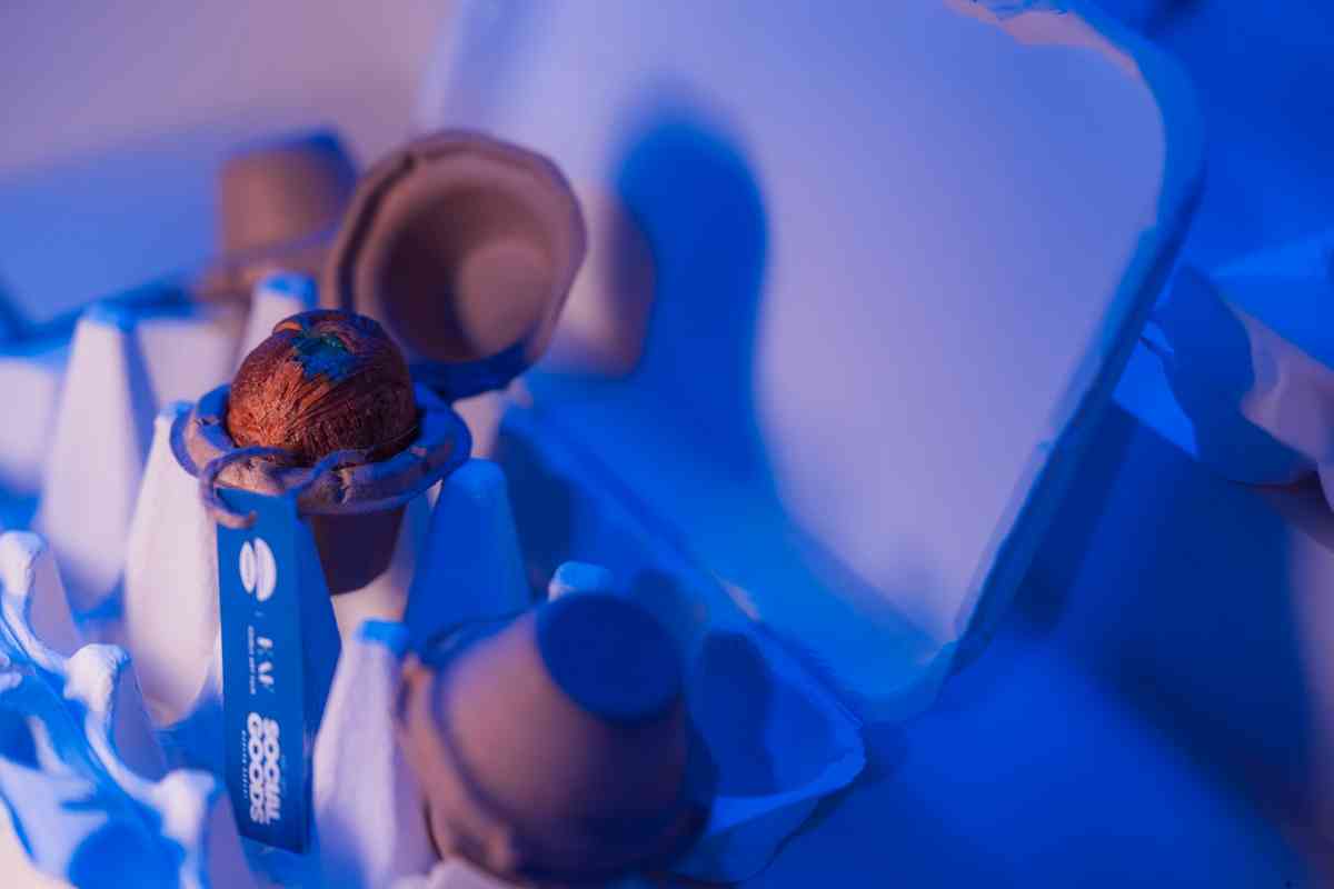 Central Yards 中環藝嚐展︱十大浸沉式體驗展區+脆皮香蕉+普普氣球狗啫喱+向日葵打卡位 Central Yards 中環藝嚐展︱十大浸沉式體驗展區+脆皮香蕉+普普氣球狗啫喱+向日葵打卡位