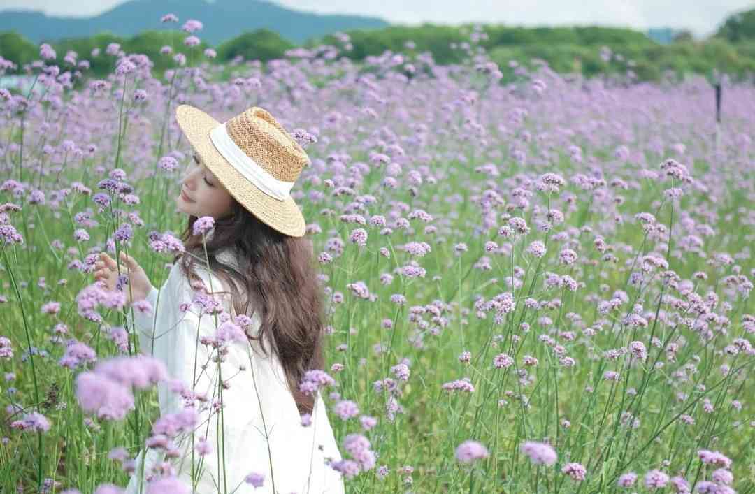深圳打卡|浪漫紫色花海!地鐵直達+免費入場+可踩單車遊走夢幻花田 深圳打卡|浪漫紫色花海!地鐵直達+免費入場+可踩單車遊走夢幻花田