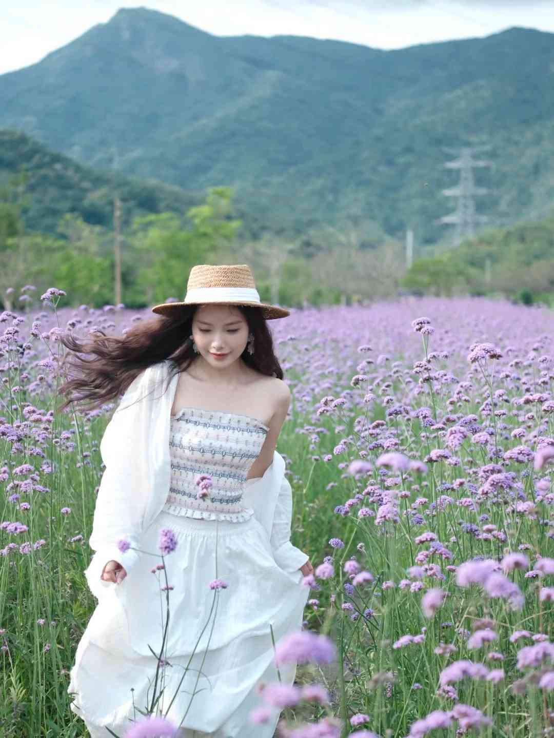 深圳打卡|浪漫紫色花海!地鐵直達+免費入場+可踩單車遊走夢幻花田 深圳打卡|浪漫紫色花海!地鐵直達+免費入場+可踩單車遊走夢幻花田