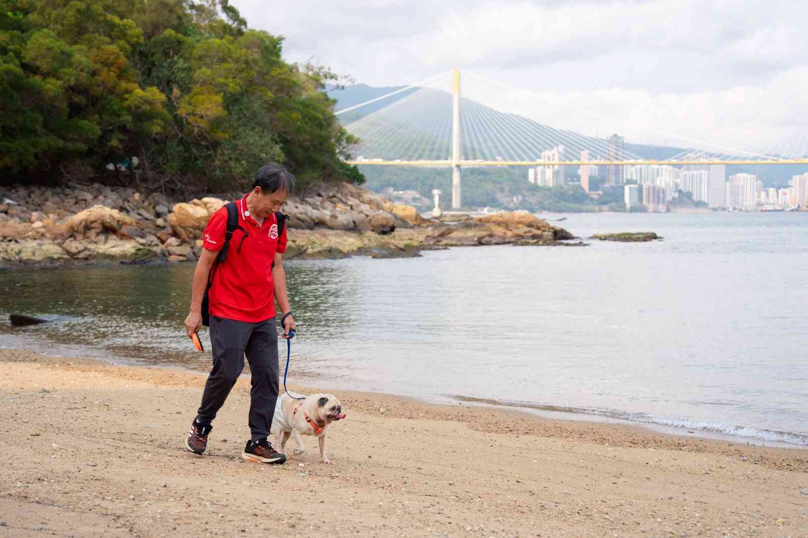 寵物情報︱九巴寵物巴士5大路線＋七日票任搭優惠＋阿棍屋年長狗狗首踏沙灘