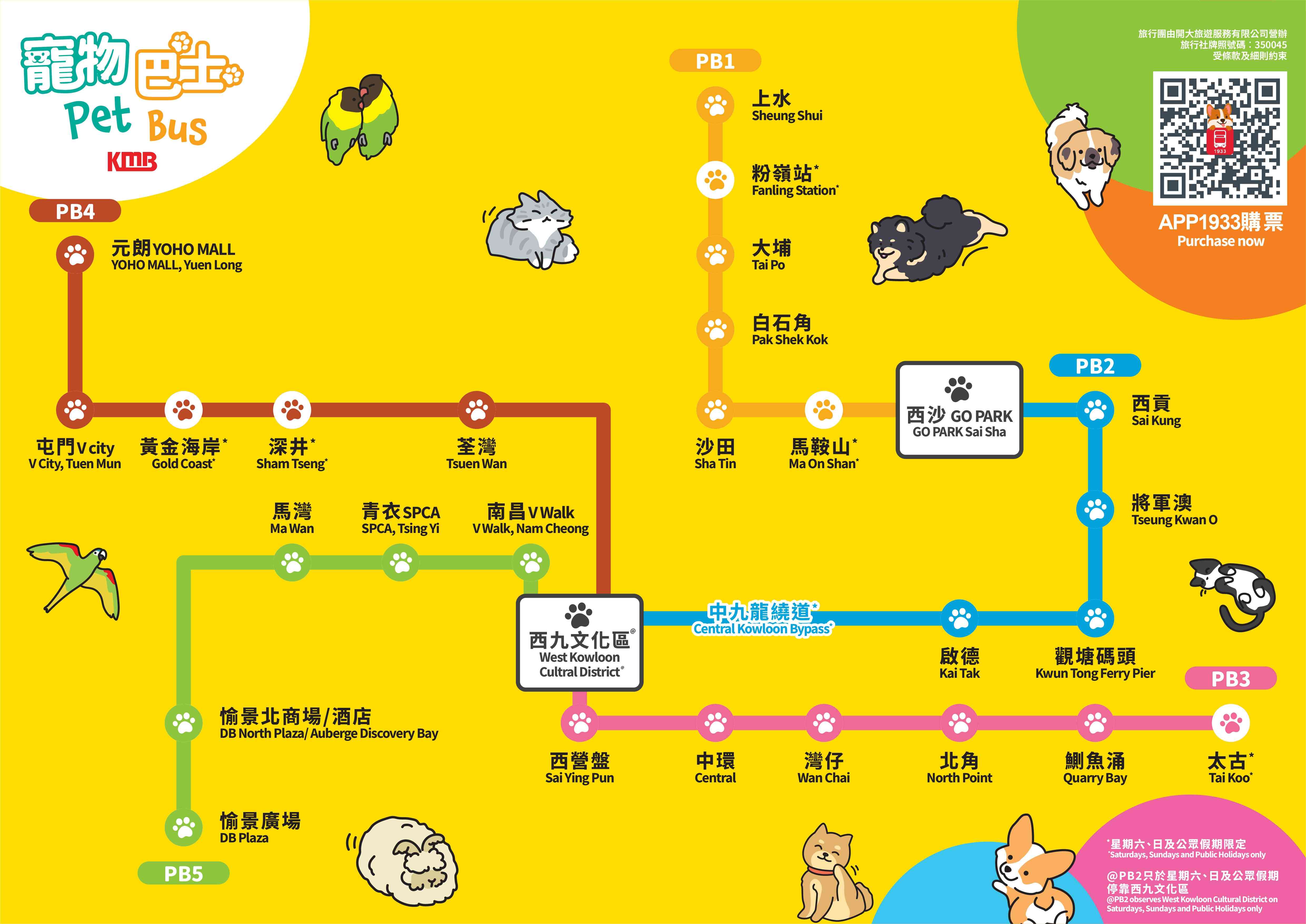 寵物情報︱九巴寵物巴士5大路線＋七日票任搭優惠＋阿棍屋年長狗狗首踏沙灘