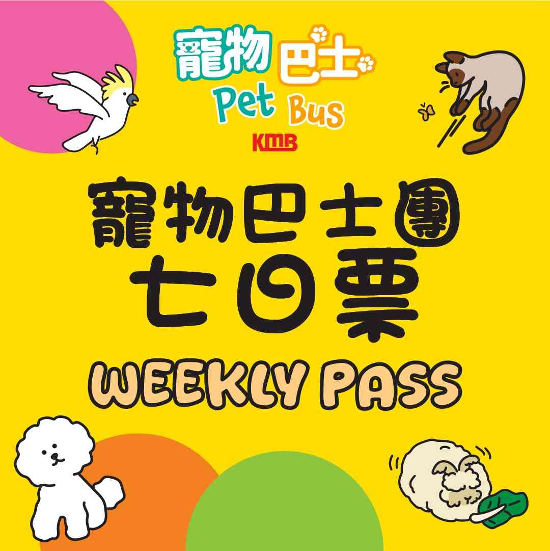 寵物情報︱九巴寵物巴士5大路線＋七日票任搭優惠＋阿棍屋年長狗狗首踏沙灘