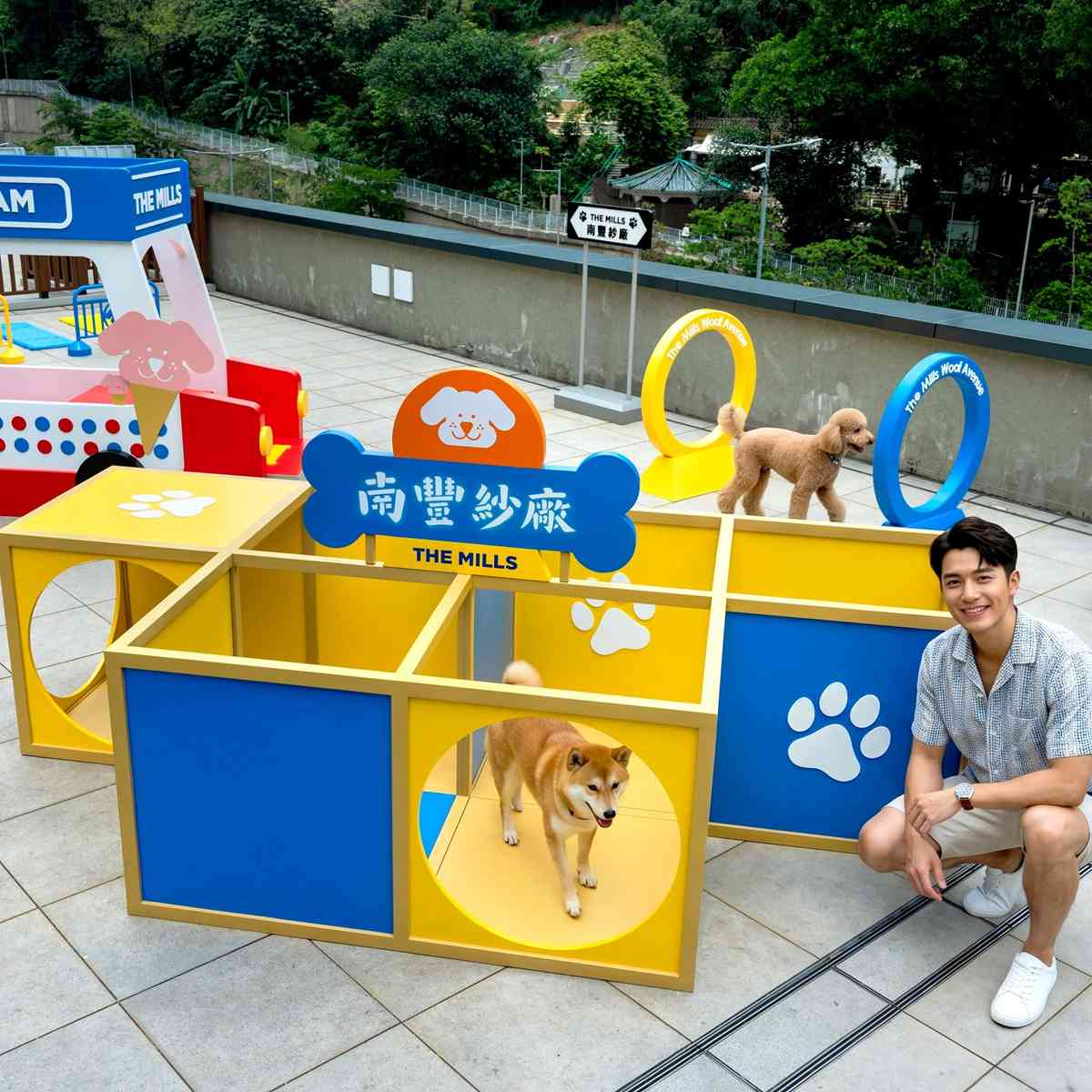 毛孩好去處｜南豐紗廠全新寵物樂園「汪汪大道Woof Avenue」：2,000呎戶外狗狗放電區＋6大交通主題打卡點
