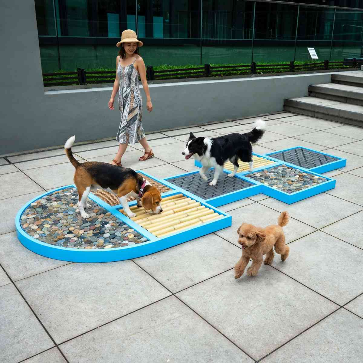 毛孩好去處｜南豐紗廠全新寵物樂園「汪汪大道Woof Avenue」：2,000呎戶外狗狗放電區＋6大交通主題打卡點