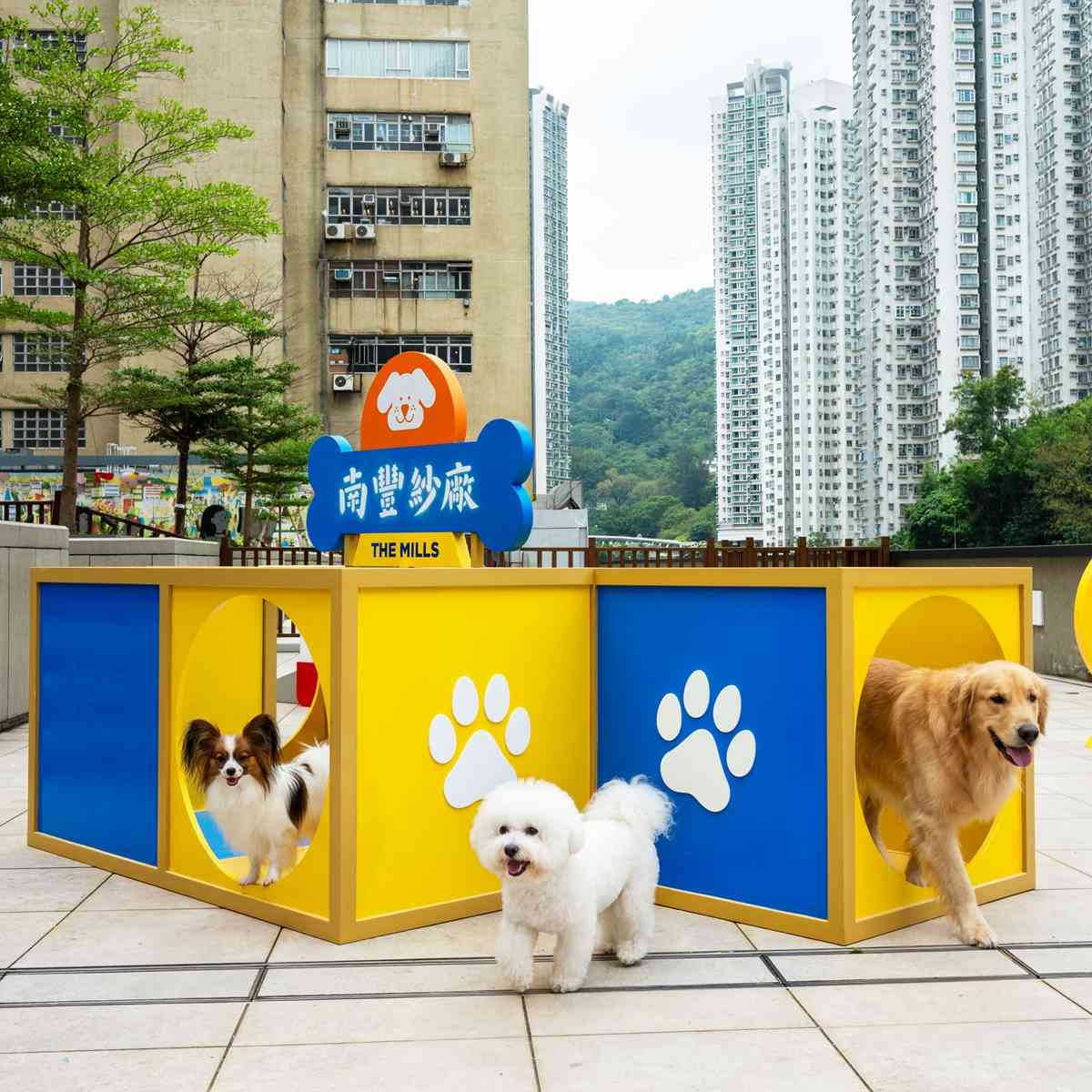 毛孩好去處｜南豐紗廠全新寵物樂園「汪汪大道Woof Avenue」：2,000呎戶外狗狗放電區＋6大交通主題打卡點