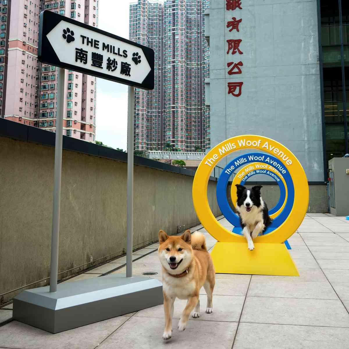 毛孩好去處｜南豐紗廠全新寵物樂園「汪汪大道Woof Avenue」：2,000呎戶外狗狗放電區＋6大交通主題打卡點