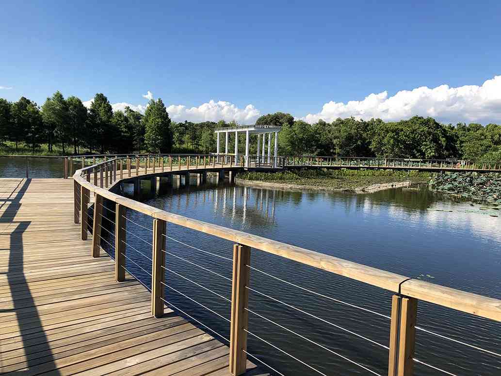 美麗香港環境節︱6 月5日濕地公園免費入場＋生態導賞團＋綠在區區回收雙倍積分