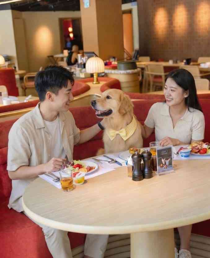 寵物友善餐廳︱7 月9日起狗隻可進入獲准食肆，連鎖快餐店、酒店餐廳、咖啡店名單