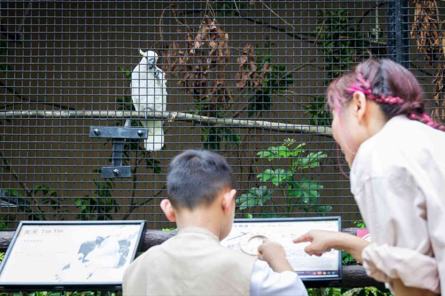 嘉道理農場暨植物園︱70 周年慶免費入園＋植物故事展覽＋網上預先登記＋出發前小貼士