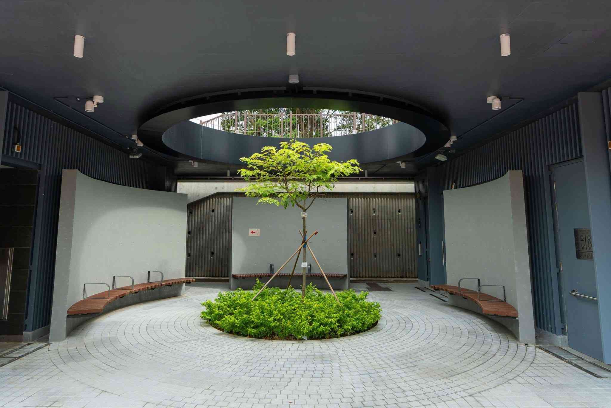 東涌好去處︱東涌小炮台公園日落美景打卡＋遠眺機場、港珠澳大橋夕陽＋寵物公園健身園地＋交通方法