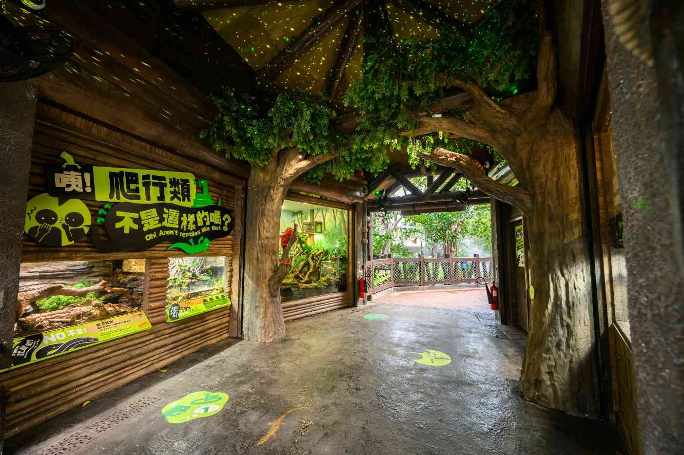 海洋公園爬行探索基地︱新展館近距離欣賞瀕危犀牛鬣蜥＋七彩變色龍＋瑤山鱷蜥爬行類動物＋主題商品