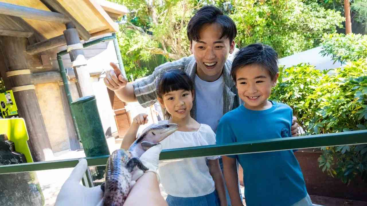海洋公園爬行探索基地︱新展館近距離欣賞瀕危犀牛鬣蜥＋七彩變色龍＋瑤山鱷蜥爬行類動物＋主題商品