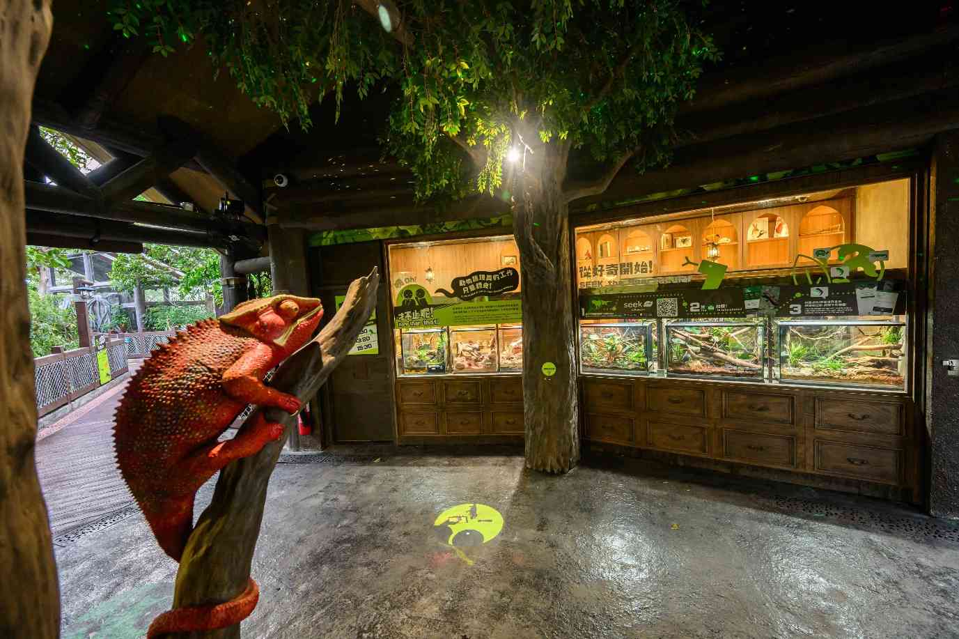 海洋公園爬行探索基地︱新展館近距離欣賞瀕危犀牛鬣蜥＋七彩變色龍＋瑤山鱷蜥爬行類動物＋主題商品