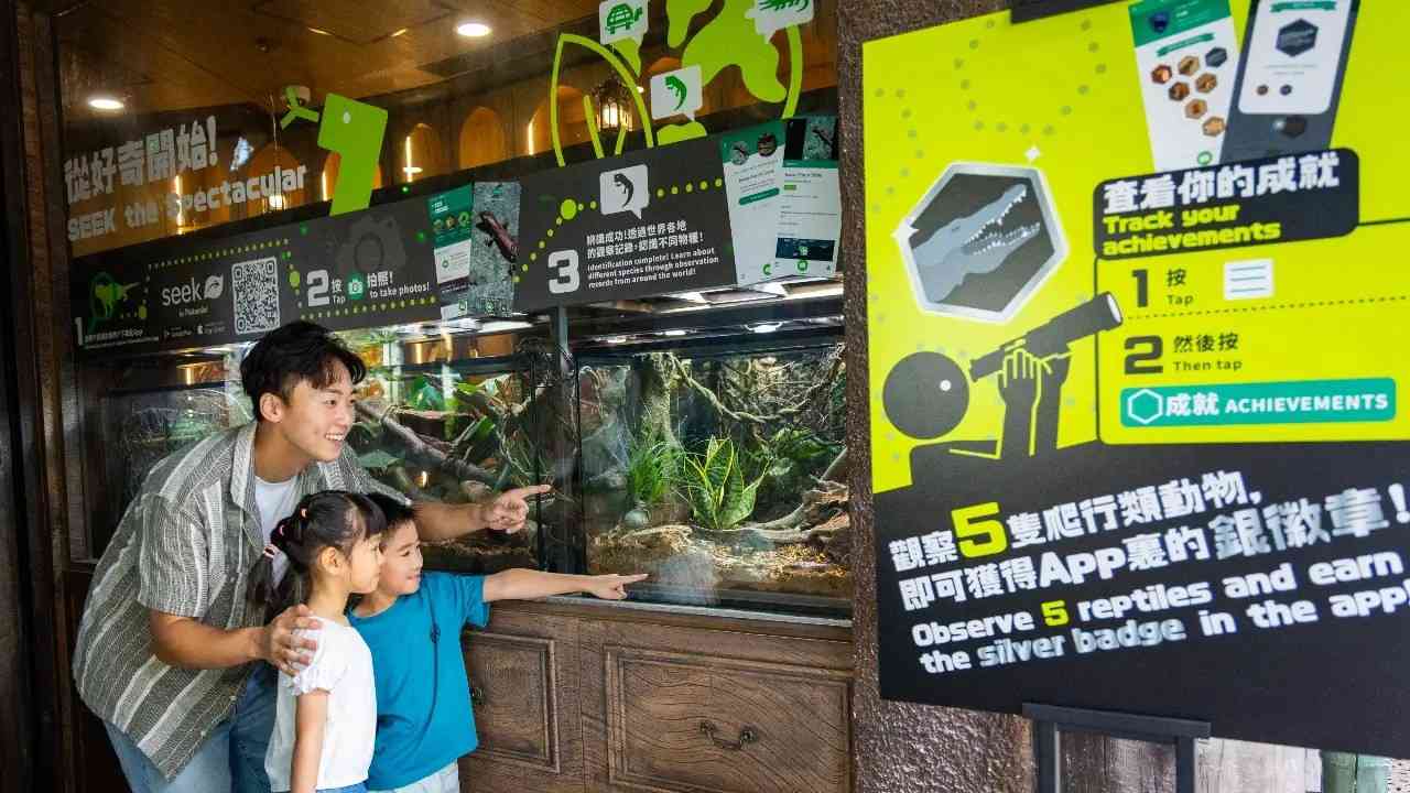 海洋公園爬行探索基地︱新展館近距離欣賞瀕危犀牛鬣蜥＋七彩變色龍＋瑤山鱷蜥爬行類動物＋主題商品