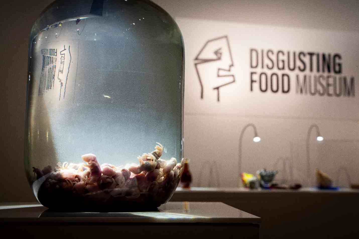 嘔心食物博物館︱啟德五大主題區全球最臭鹽醃鯡魚＋發酵鯊魚肉＋蒙古羊眼球汁＋入場獲贈嘔吐袋早鳥門票$28起