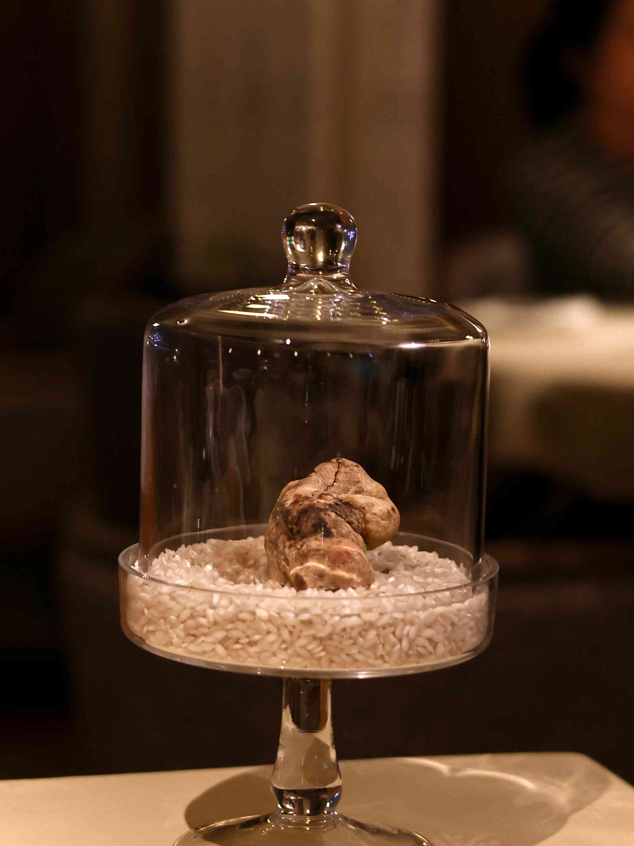 中環老牌意大利菜新演繹！阿爾巴白松露慢煮蛋、名物龍蝦湯、經典肉醬千層麵，意式香氣巡禮