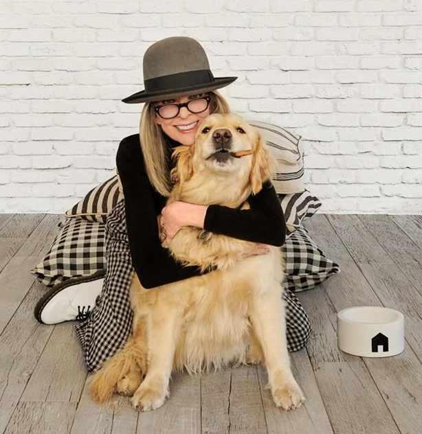 友伴犬計劃｜讓長者由被照顧者成為照顧者！研究顯示：有助提升身心健康