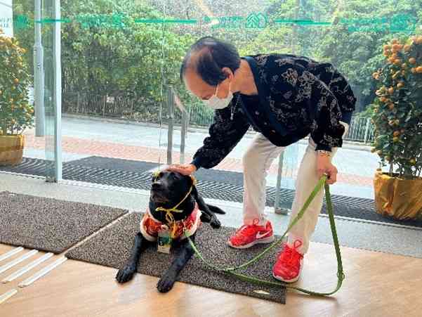 友伴犬計劃｜讓長者由被照顧者成為照顧者！研究顯示：有助提升身心健康