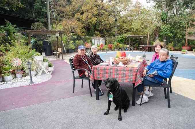 友伴犬計劃｜讓長者由被照顧者成為照顧者！研究顯示：有助提升身心健康