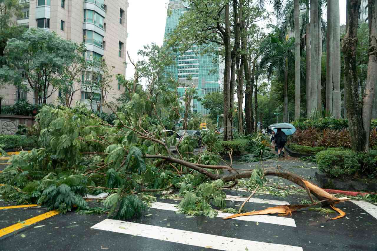 打風防病惡化全攻略｜腦退化、哮喘、慢阻肺及心血管病患， 低氣壓是隱形威脅