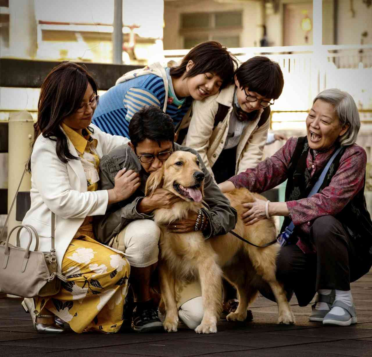 研究揭示講人壞話「傷腦又減壽」!從《金多寶》嫲嫲看善意如何療癒人心 研究揭示講人壞話「傷腦又減壽」!從《金多寶》嫲嫲看善意如何療癒人心