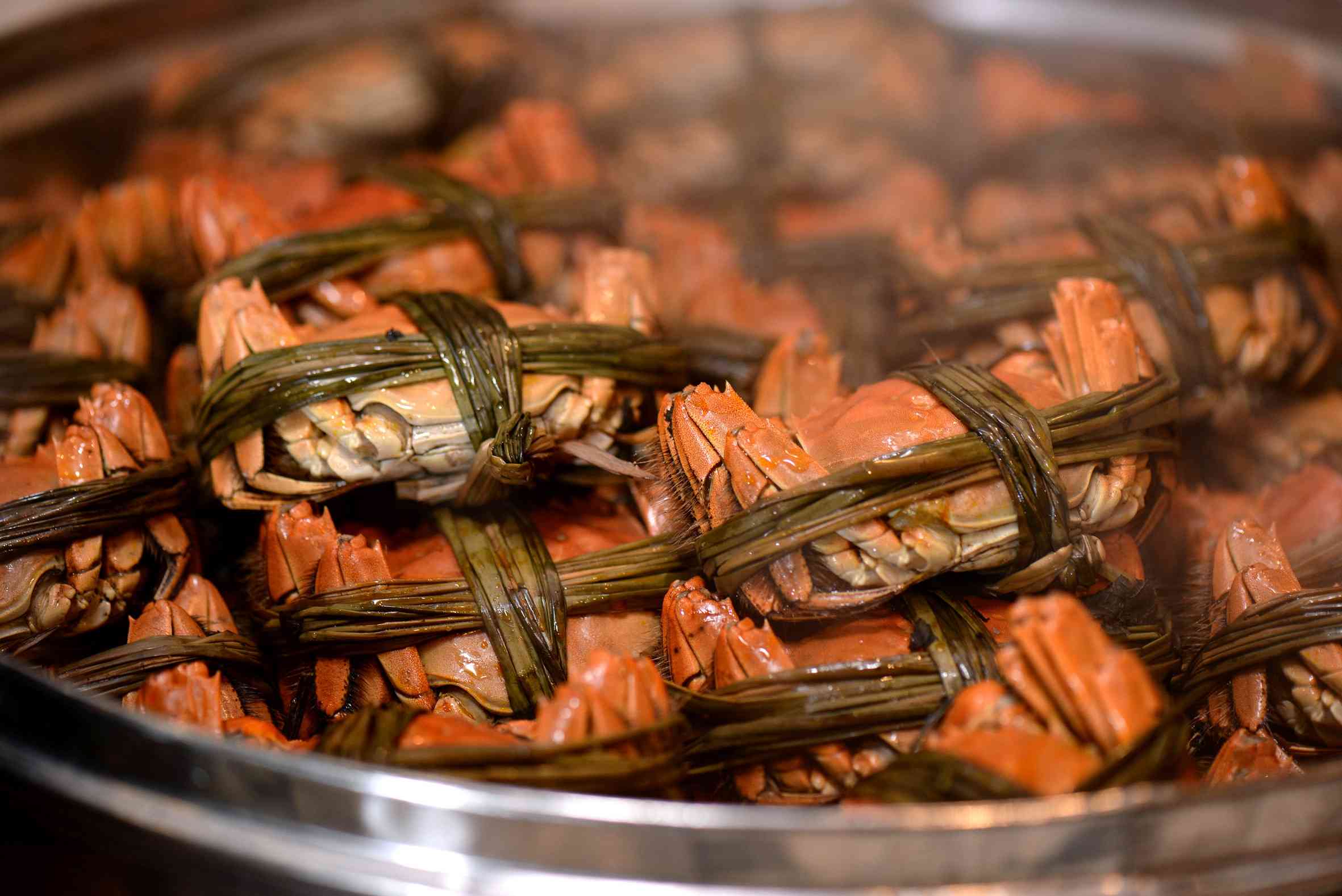 聖誕自助餐2025︱沙田凱悅海鮮＋蛇羹＋大閘蟹任食，下午茶每位$244起＋聖誕花環工作坊