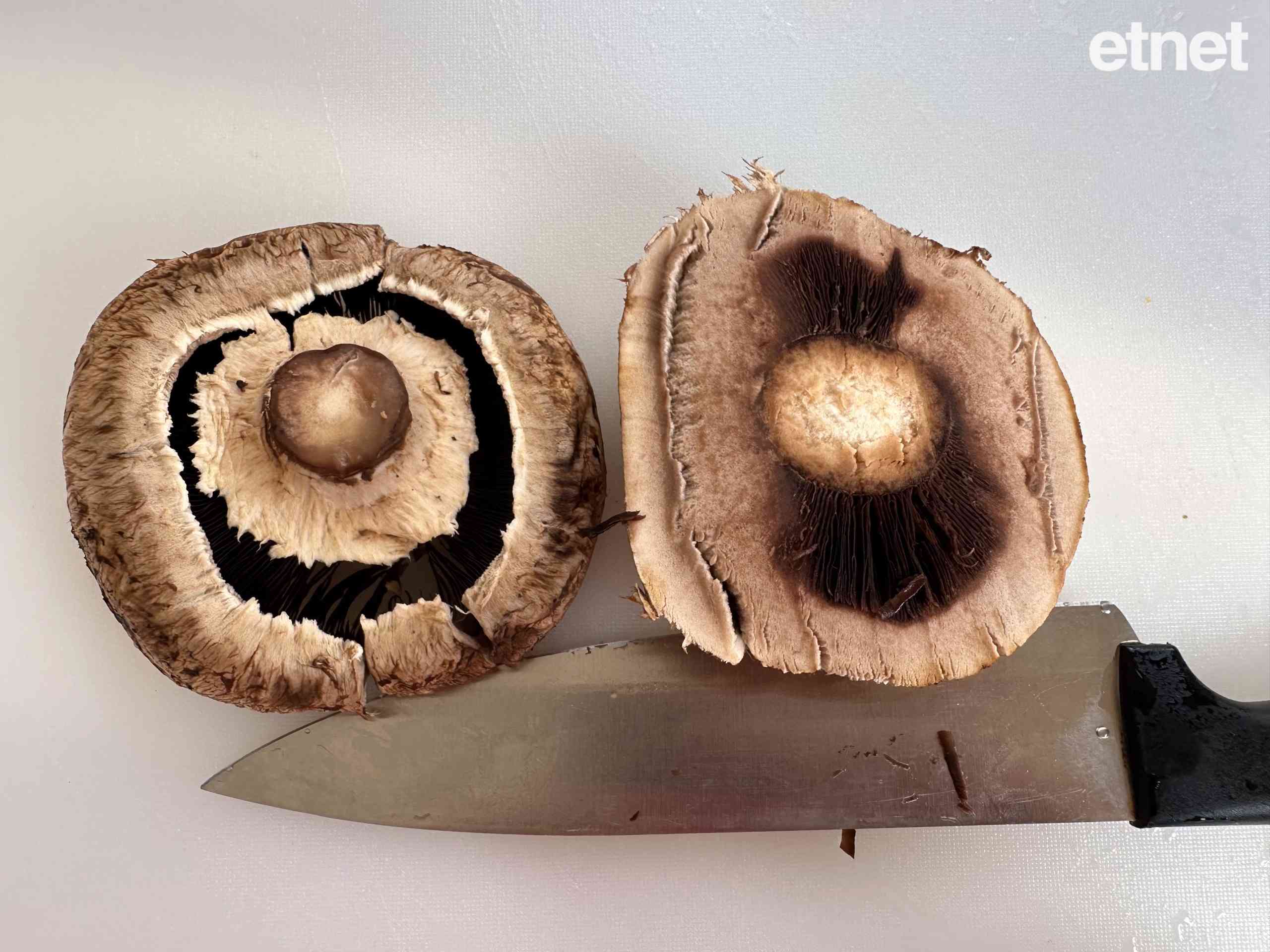 無麩質素食譜：香煎薯仔漢堡 &nbsp;薯餅代麵包麩質過敏朋友啱食