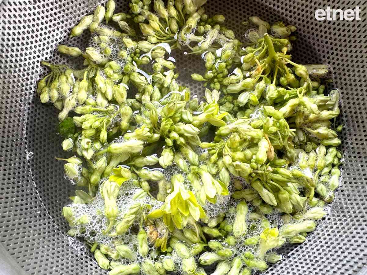 伴飯素食譜推介:鮮茄汁煮清爽夜香花豆包 番茄煮法百搭大人細路都喜愛 伴飯素食譜推介:鮮茄汁煮清爽夜香花豆包 番茄煮法百搭大人細路都喜愛