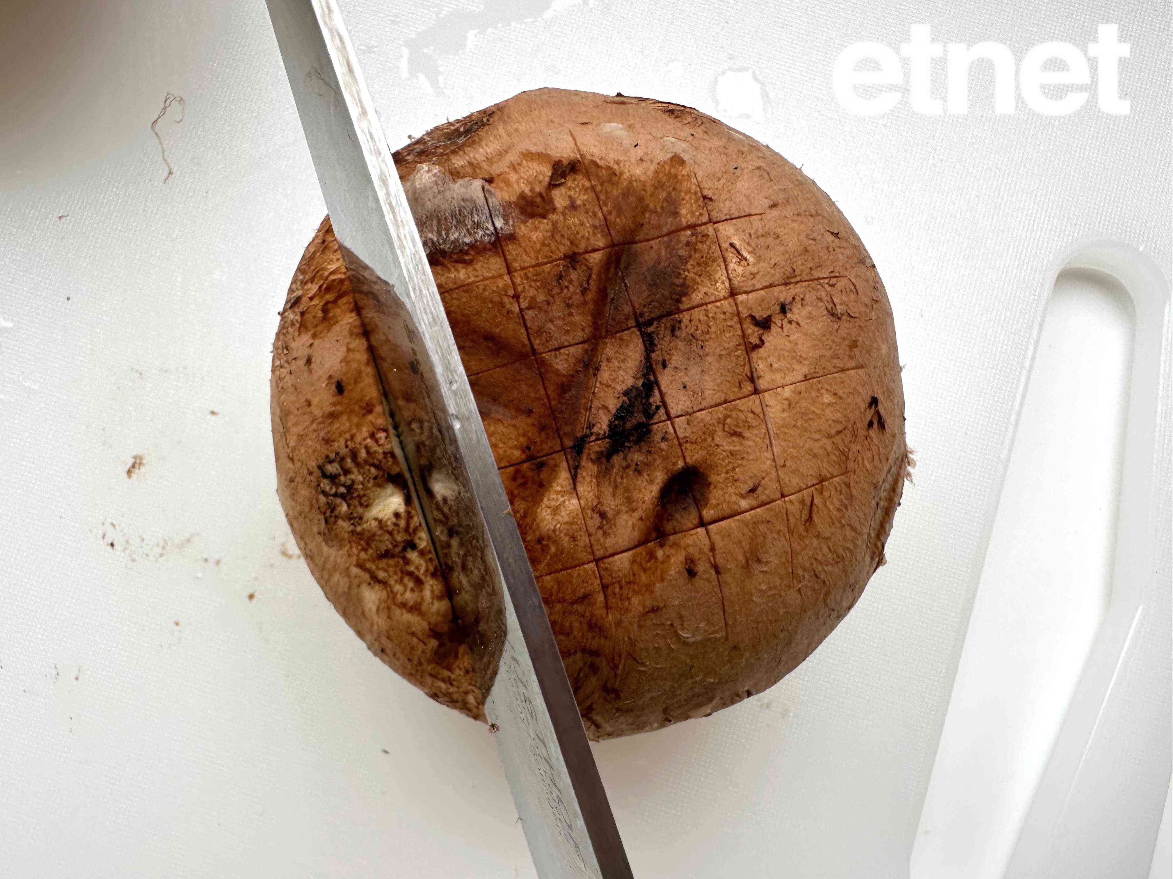 今期素食譜推薦：羅勒番茄汁煮大蘑菇　肥美肉厚怎能不愛它