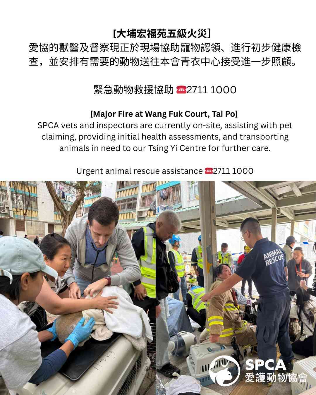 宏福苑大火︱全港順豐站收集應急物資支援+捐贈寵物糧食+動物緊急支援 宏福苑大火︱全港順豐站收集應急物資支援+捐贈寵物糧食+動物緊急支援