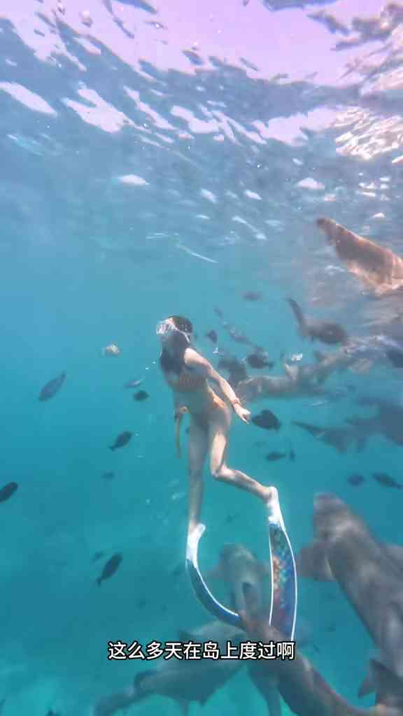 鯊魚襲擊︱26歲女網紅生理期潛水追趕鯊魚遭咬傷　炫耀傷痕拒就醫：截肢是從這邊嗎？